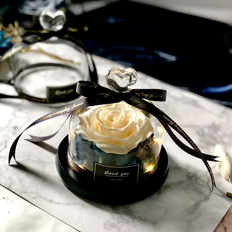 La bella e la bestia Salva il  - Decor Timeless Lighting recensione e prezzo